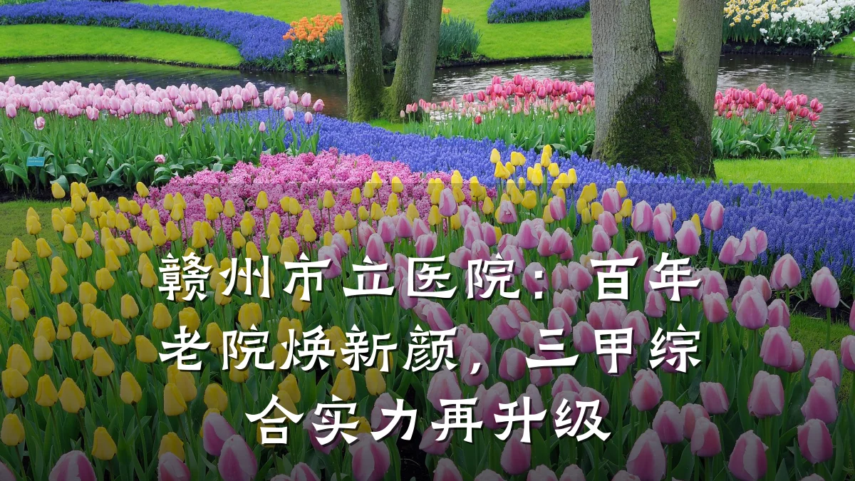赣州市立医院：百年老院焕新颜，三甲综合实力再升级