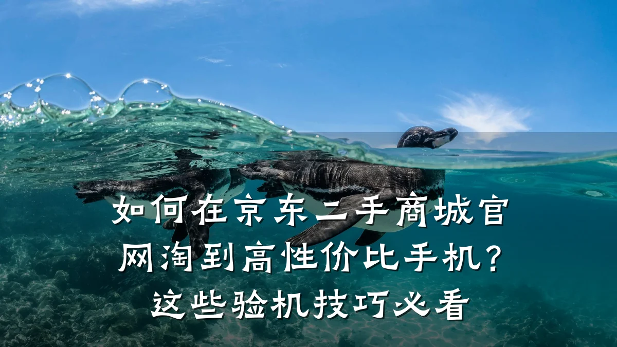 如何在京东二手商城官网淘到高性价比手机？这些验机技巧必看