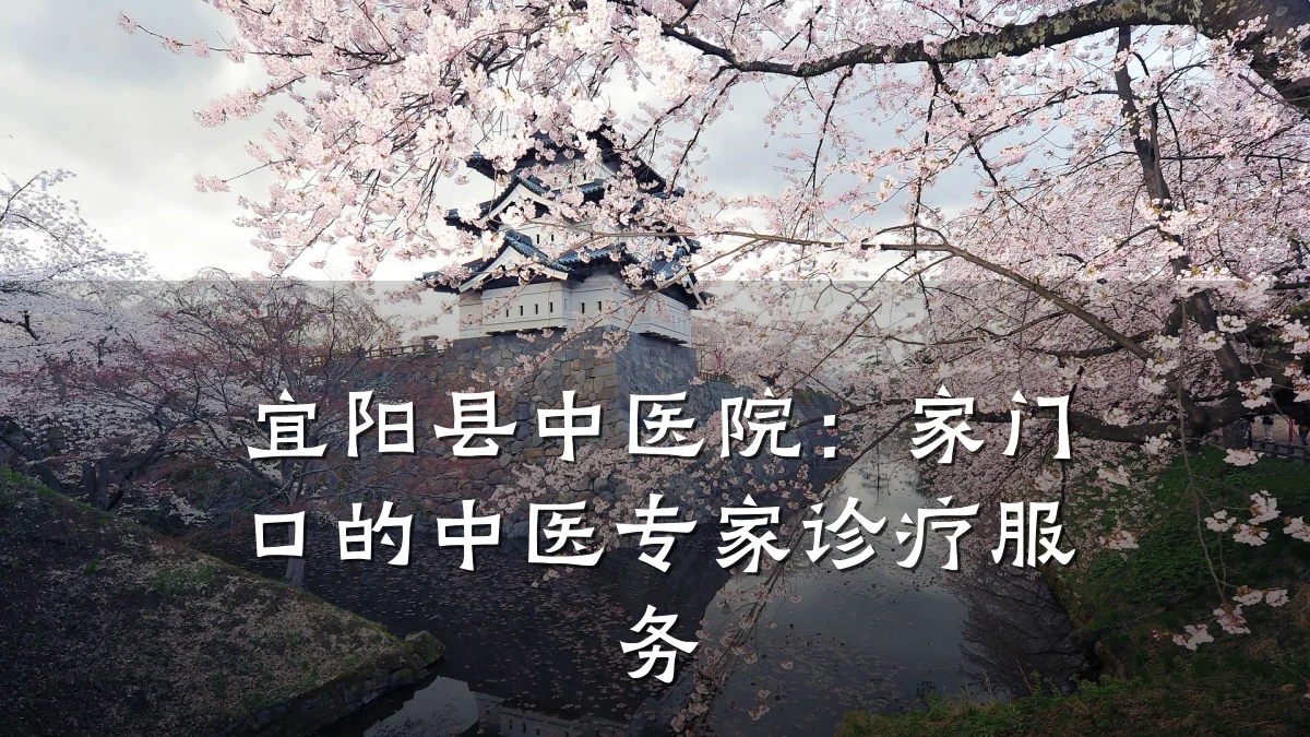 宜阳县中医院：家门口的中医专家诊疗服务