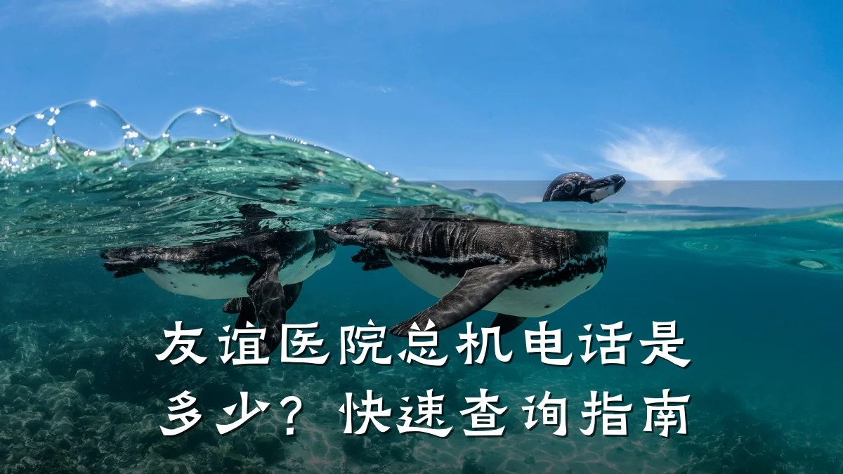 友谊医院总机电话是多少？快速查询指南