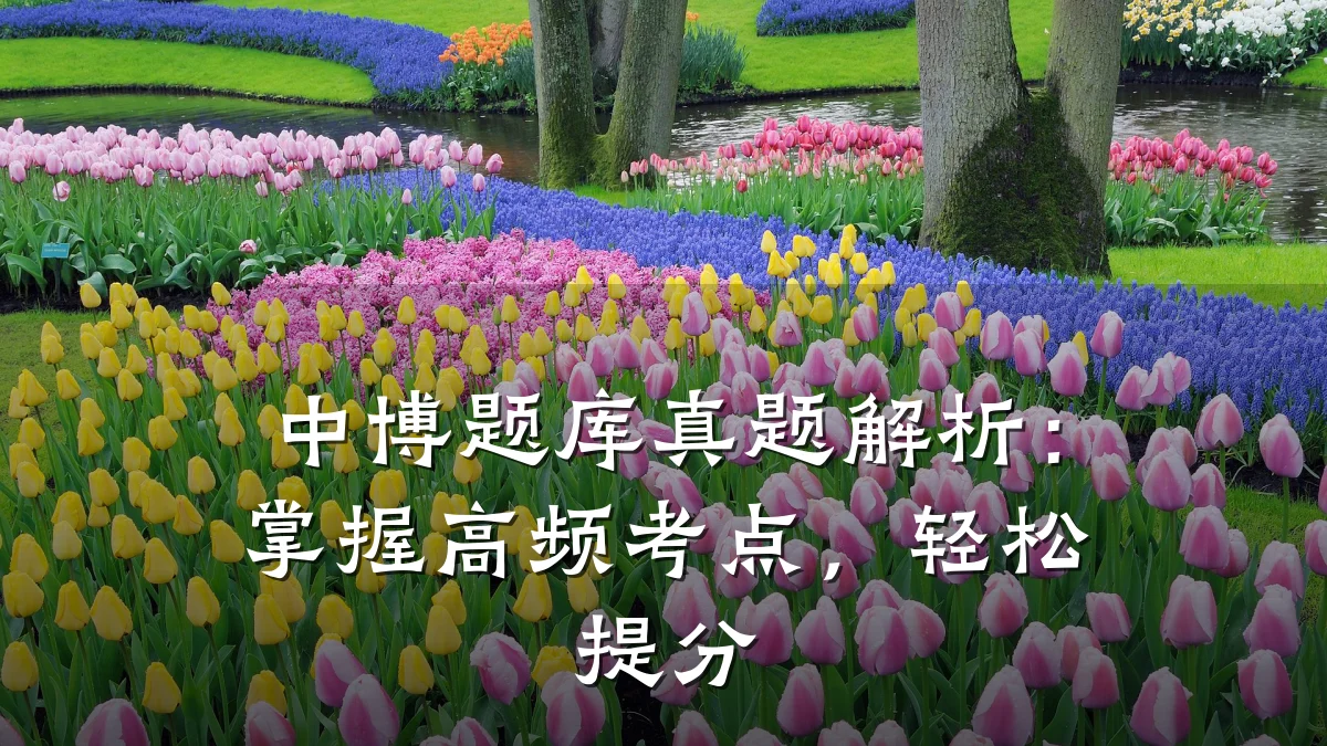 中博题库真题解析：掌握高频考点，轻松提分
