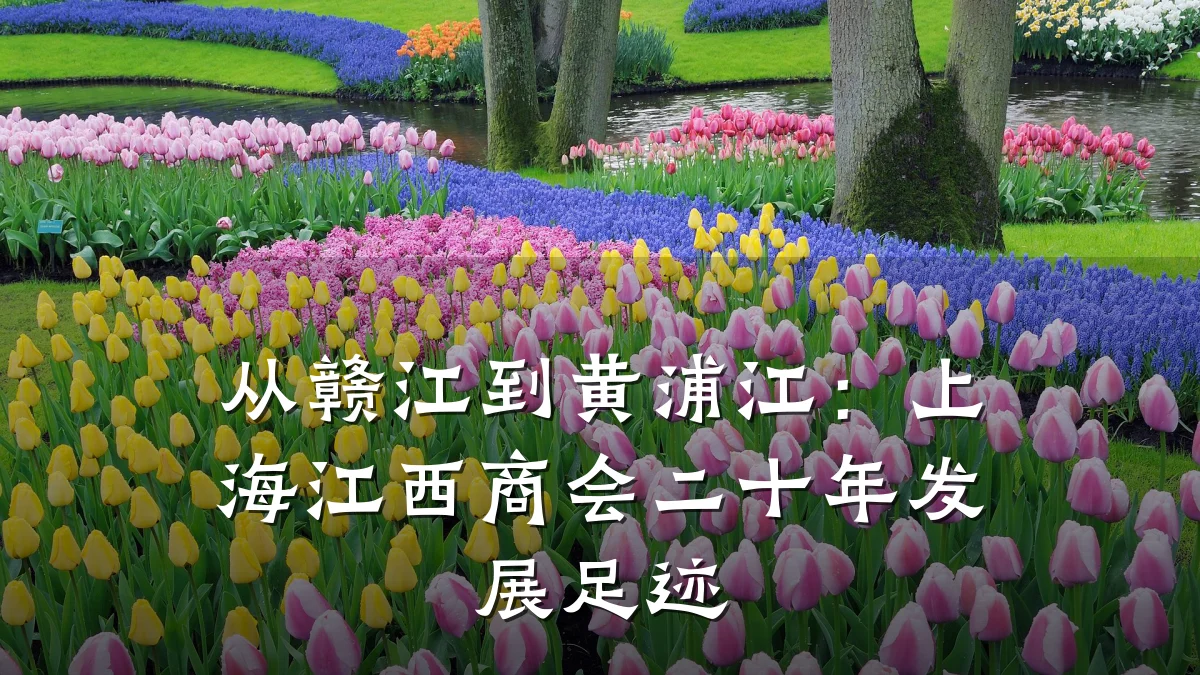 从赣江到黄浦江：上海江西商会二十年发展足迹