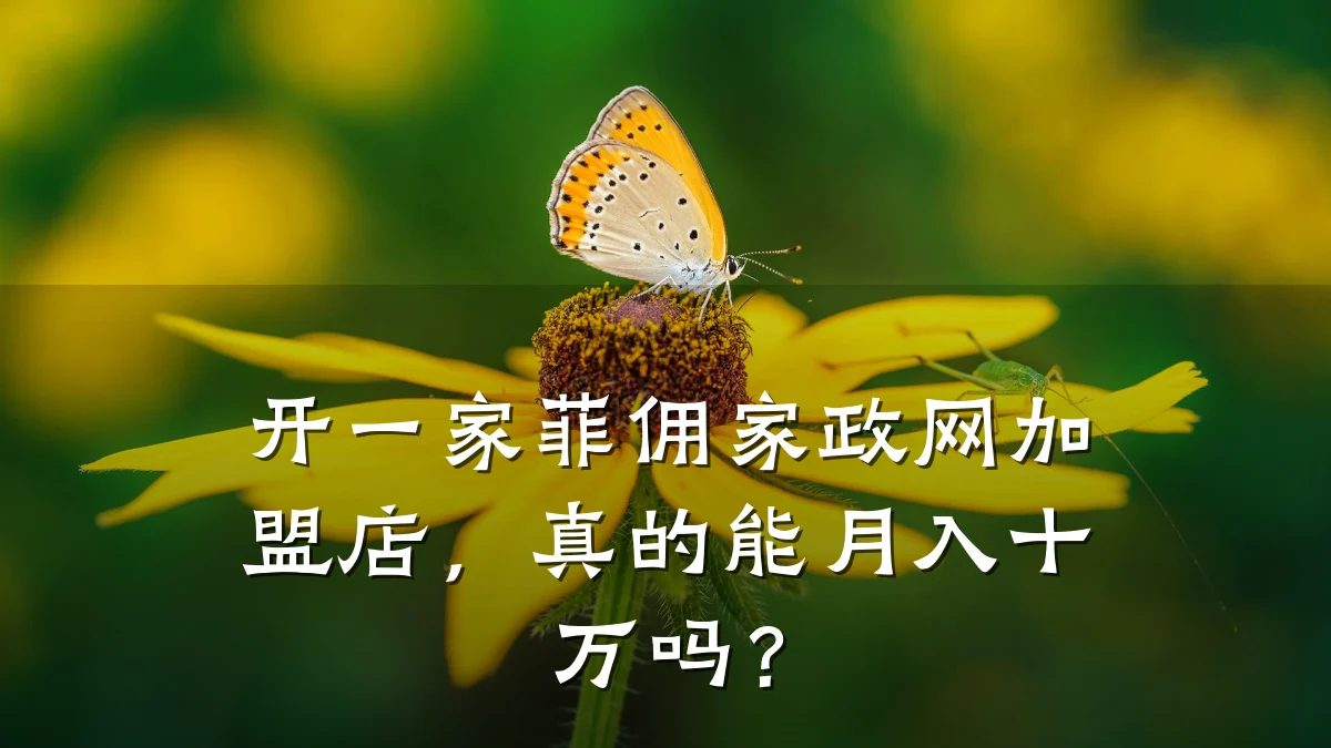 开一家菲佣家政网加盟店，真的能月入十万吗？