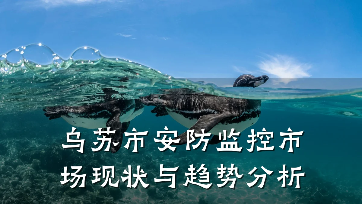乌苏市安防监控市场现状与趋势分析