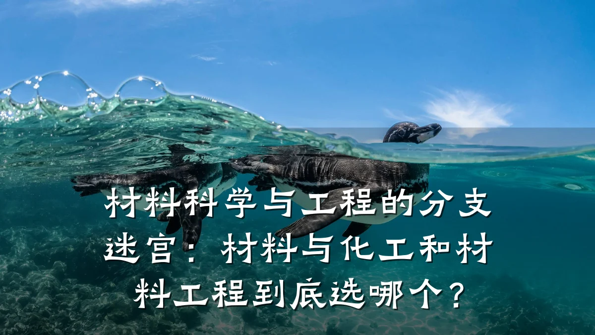 材料科学与工程的分支迷宫：材料与化工和材料工程到底选哪个？