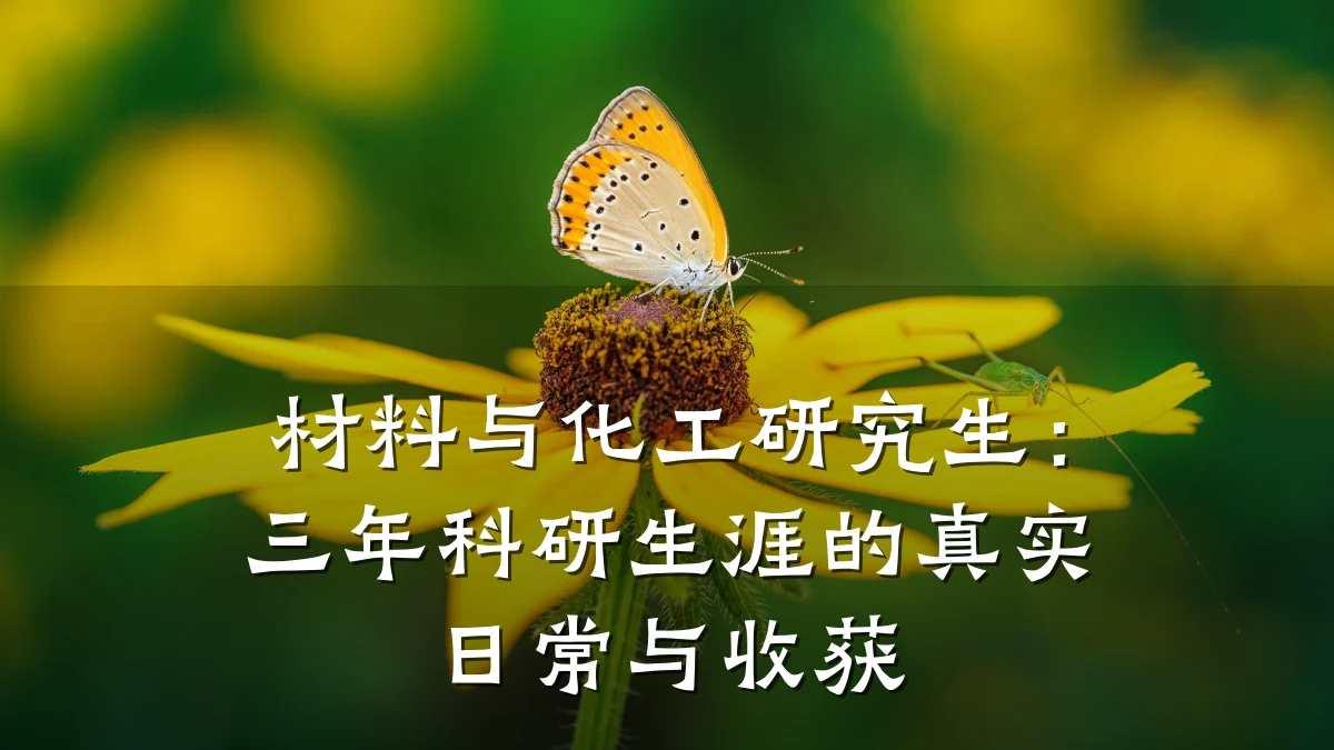 材料与化工研究生：三年科研生涯的真实日常与收获