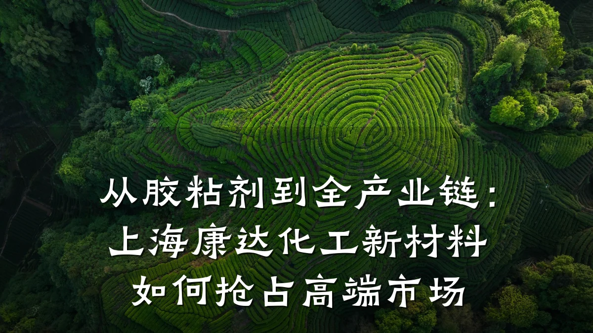 从胶粘剂到全产业链：上海康达化工新材料如何抢占高端市场