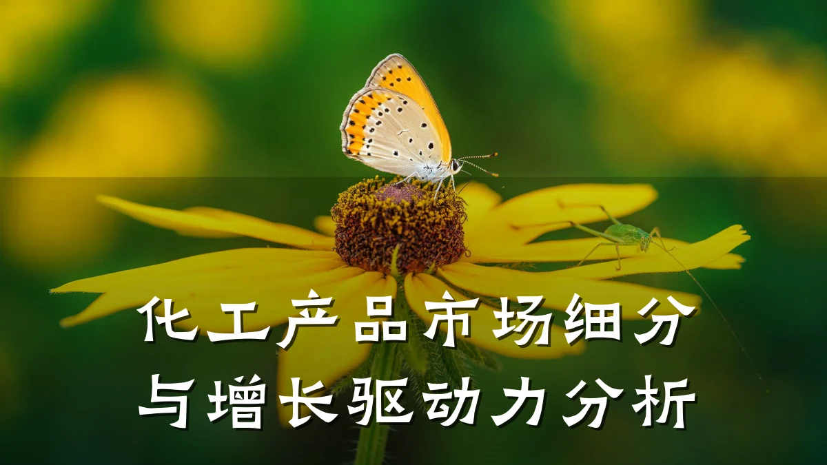 化工产品市场细分与增长驱动力分析