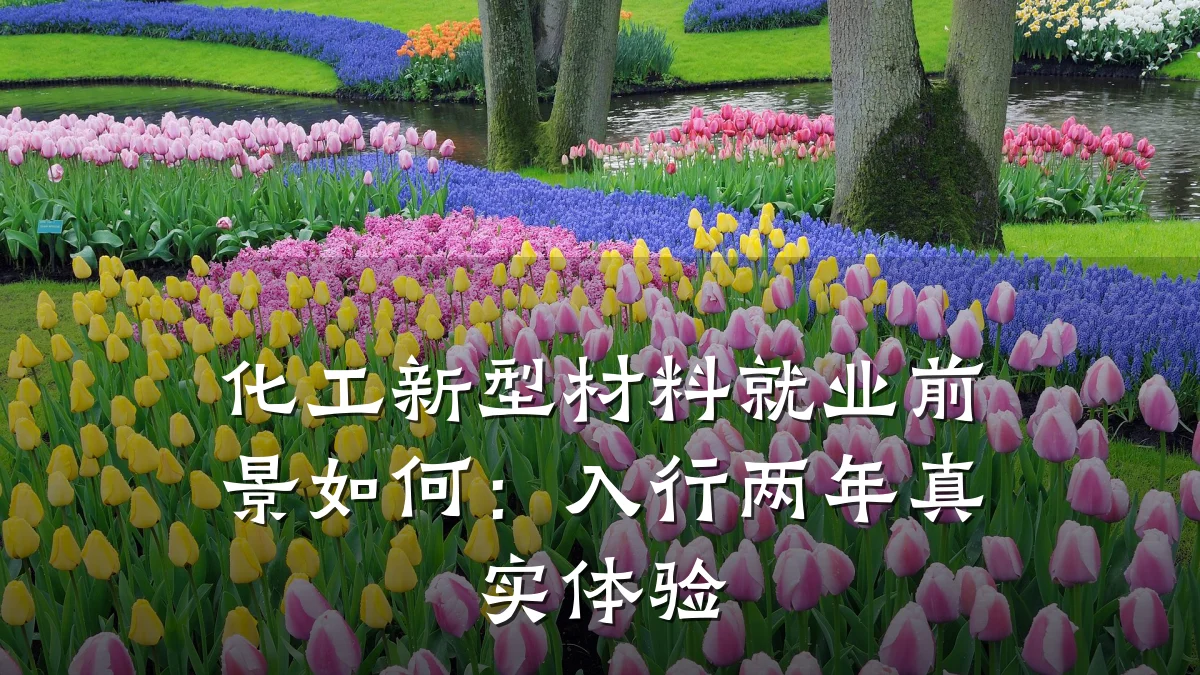 化工新型材料就业前景如何：入行两年真实体验