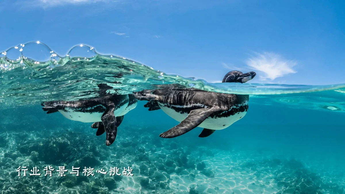 行业背景与核心挑战