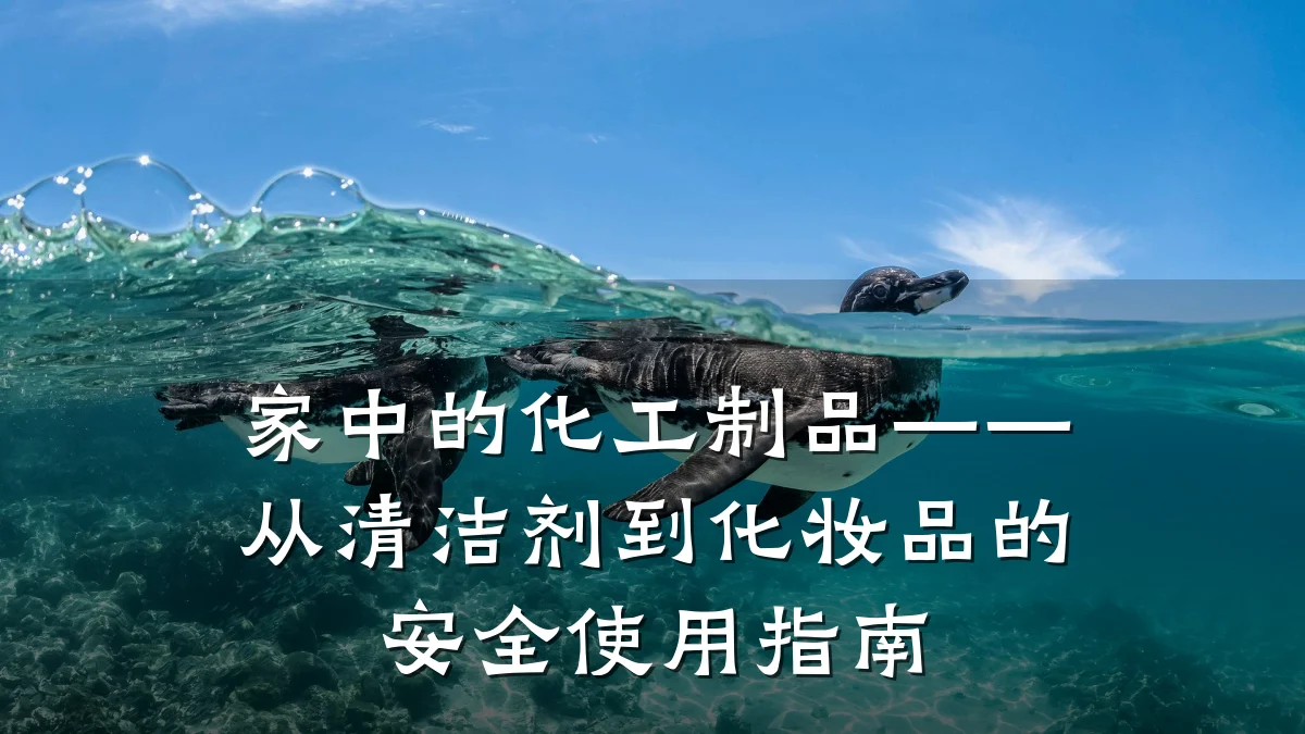家中的化工制品——从清洁剂到化妆品的安全使用指南