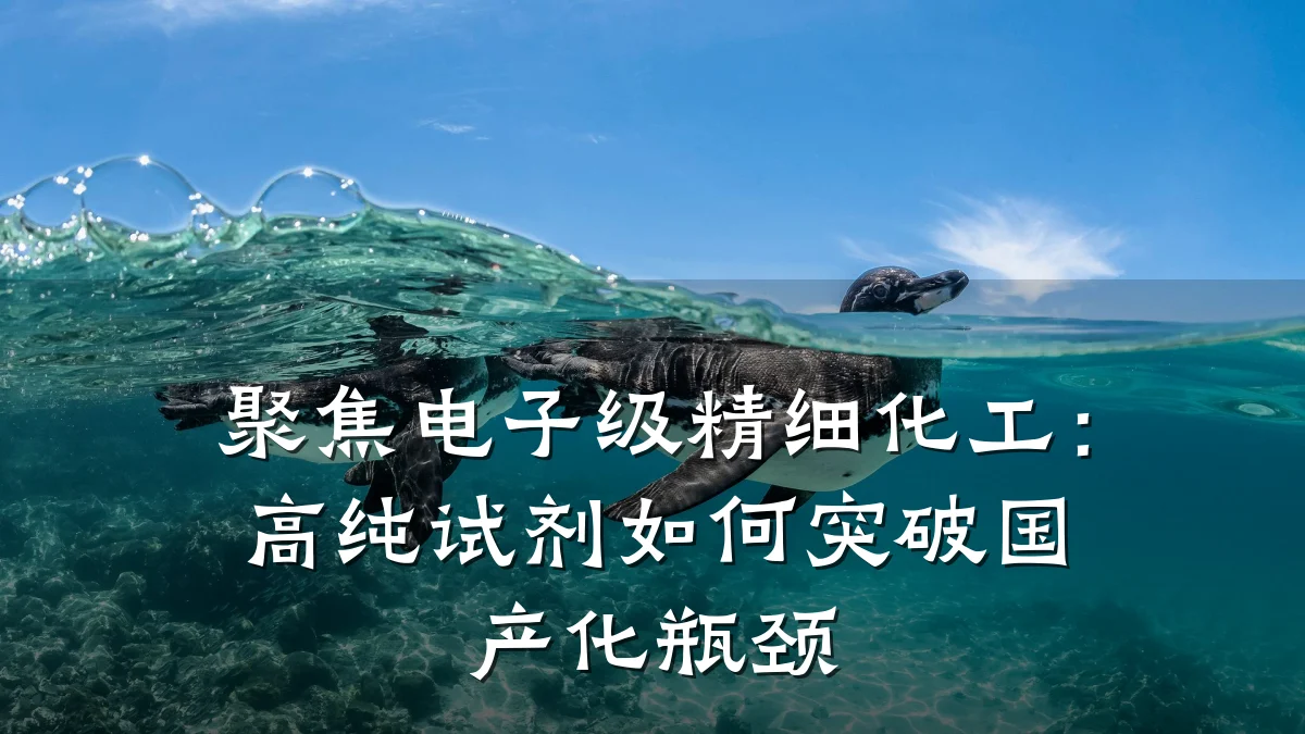 聚焦电子级精细化工：高纯试剂如何突破国产化瓶颈