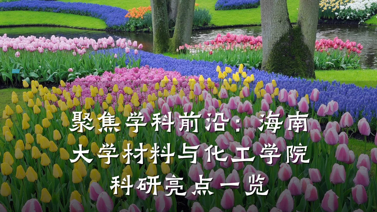 聚焦学科前沿：海南大学材料与化工学院科研亮点一览