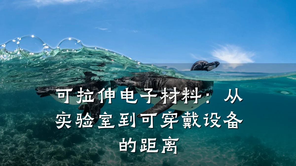 可拉伸电子材料:从实验室到可穿戴设备的距离
