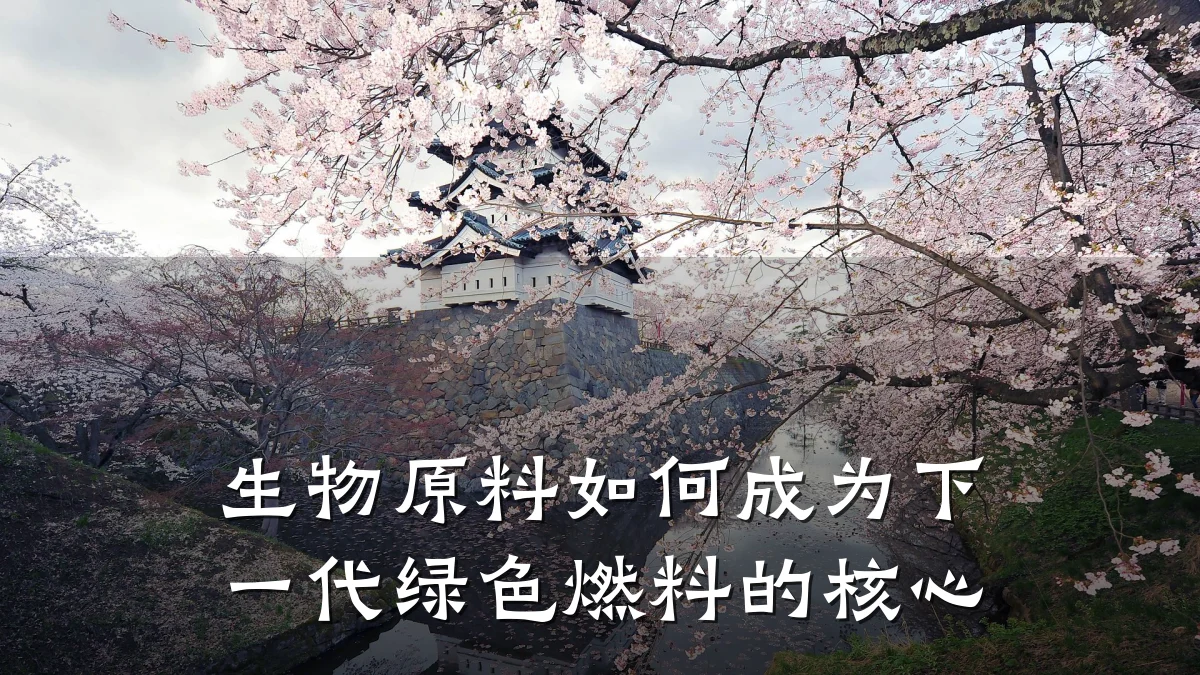 生物原料如何成为下一代绿色燃料的核心