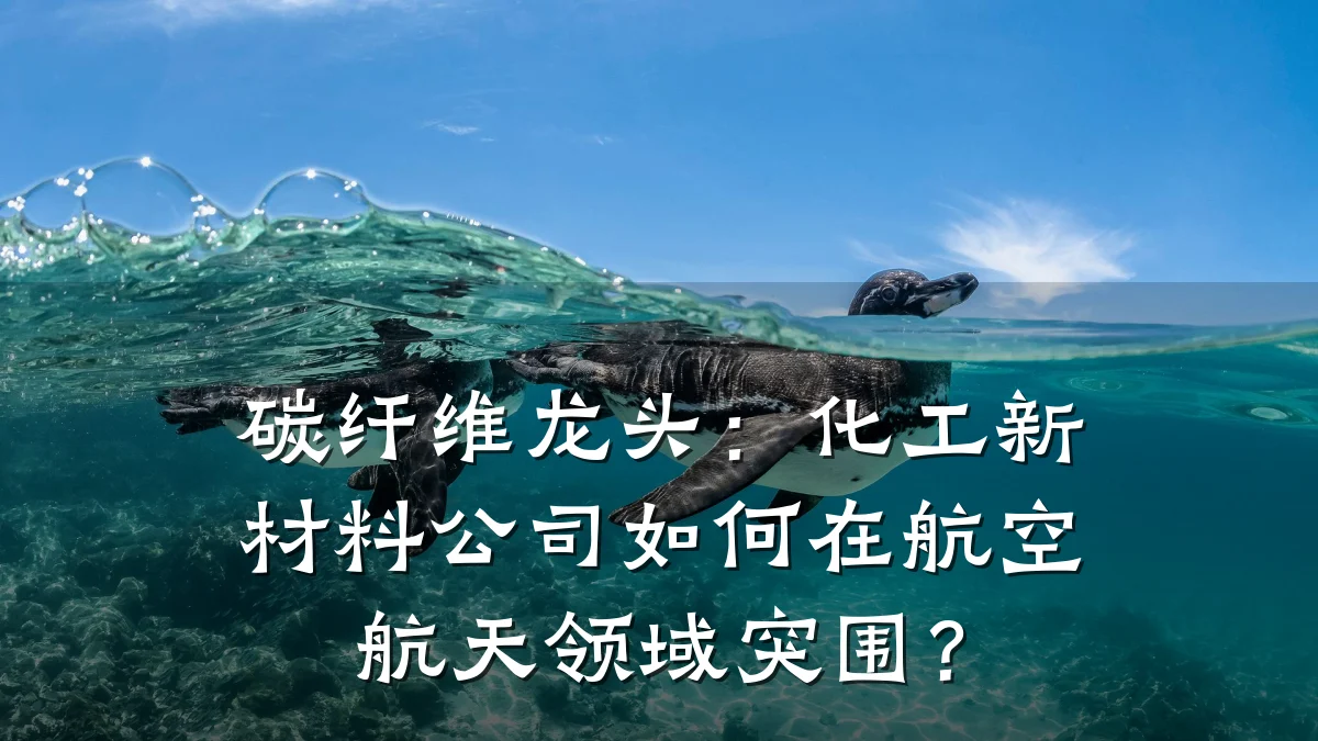 碳纤维龙头：化工新材料公司如何在航空航天领域突围？