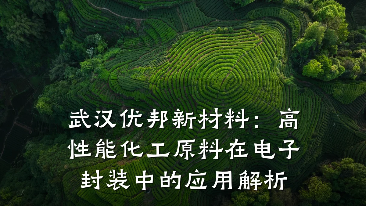 武汉优邦新材料：高性能化工原料在电子封装中的应用解析