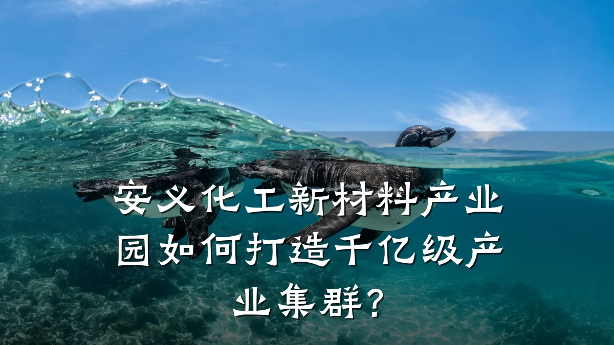 安义化工新材料产业园如何打造千亿级产业集群？