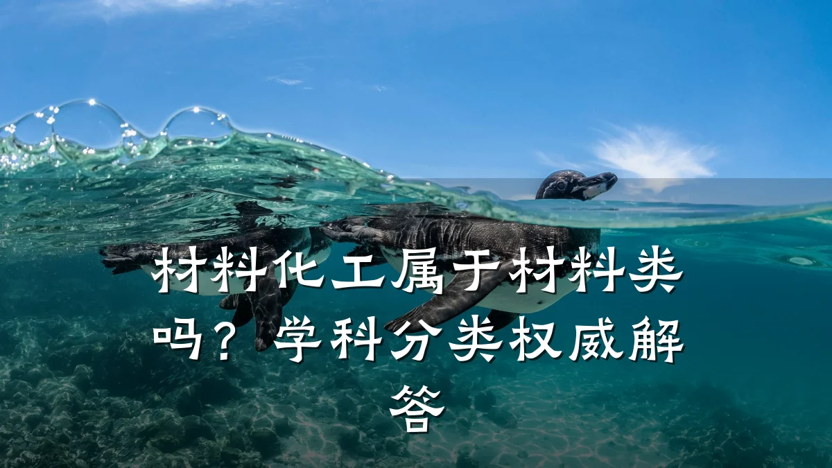 材料化工属于材料类吗？学科分类权威解答