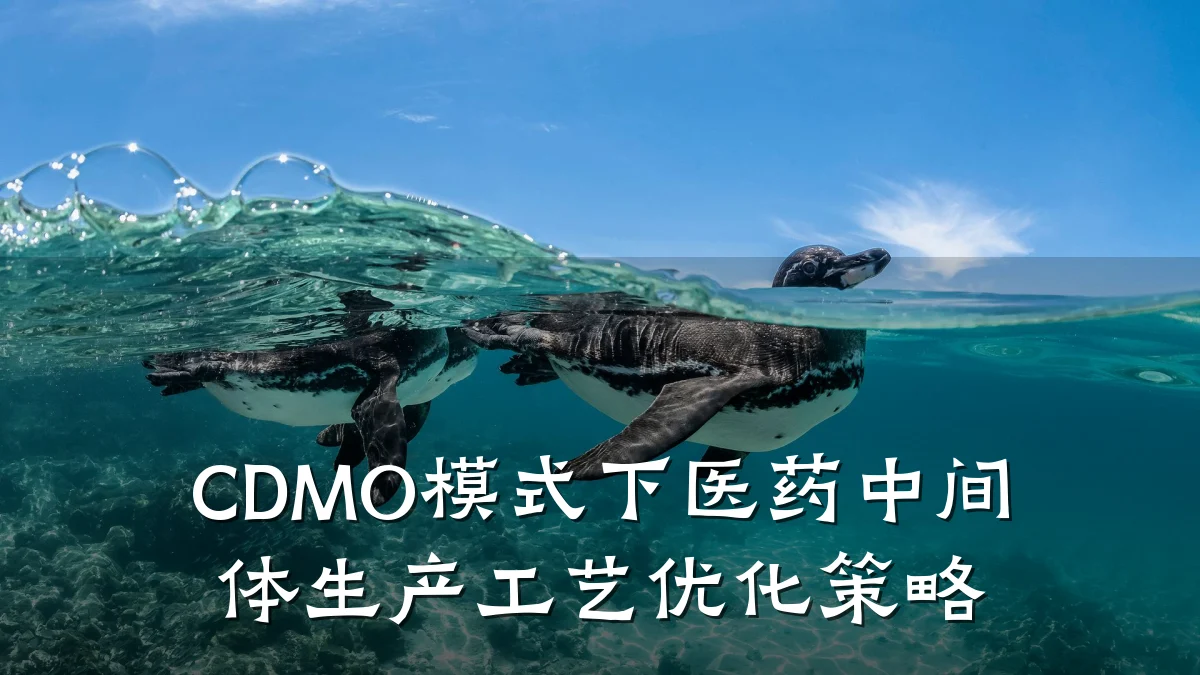 CDMO模式下医药中间体生产工艺优化策略