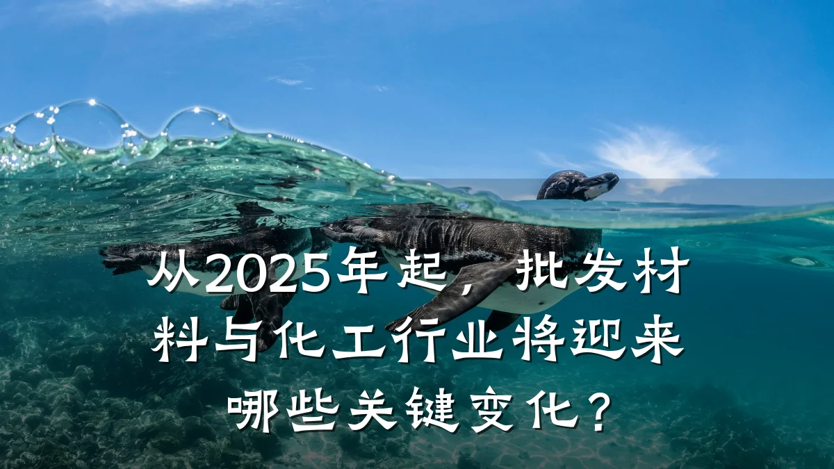 从2025年起,批发材料与化工行业将迎来哪些关键变化?