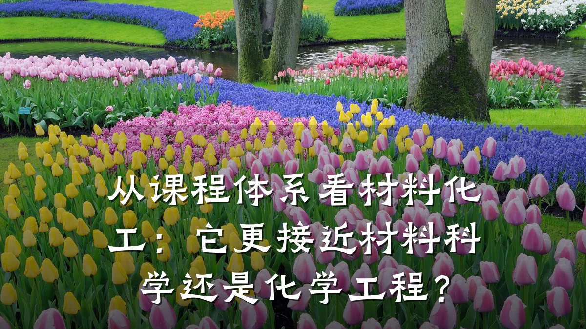 从课程体系看材料化工：它更接近材料科学还是化学工程？
