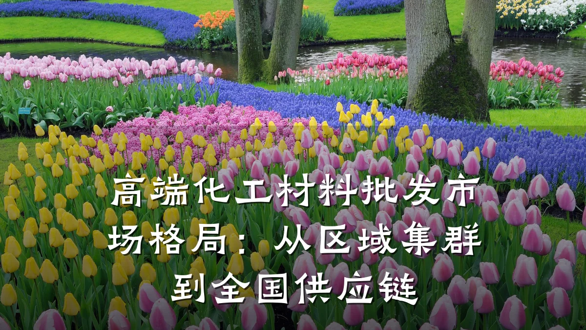 高端化工材料批发市场格局:从区域集群到全国供应链
