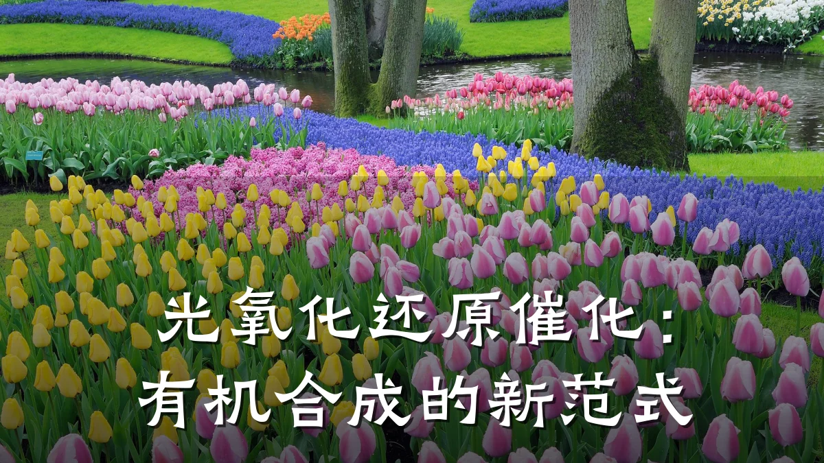 光氧化还原催化：有机合成的新范式