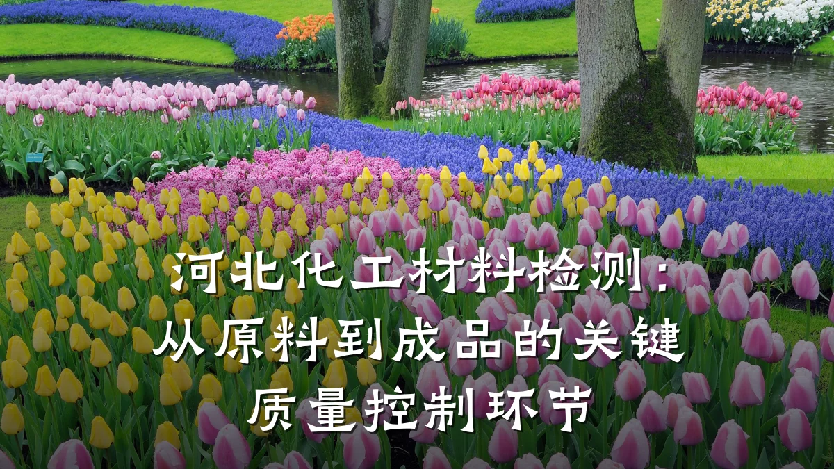 河北化工材料检测：从原料到成品的关键质量控制环节
