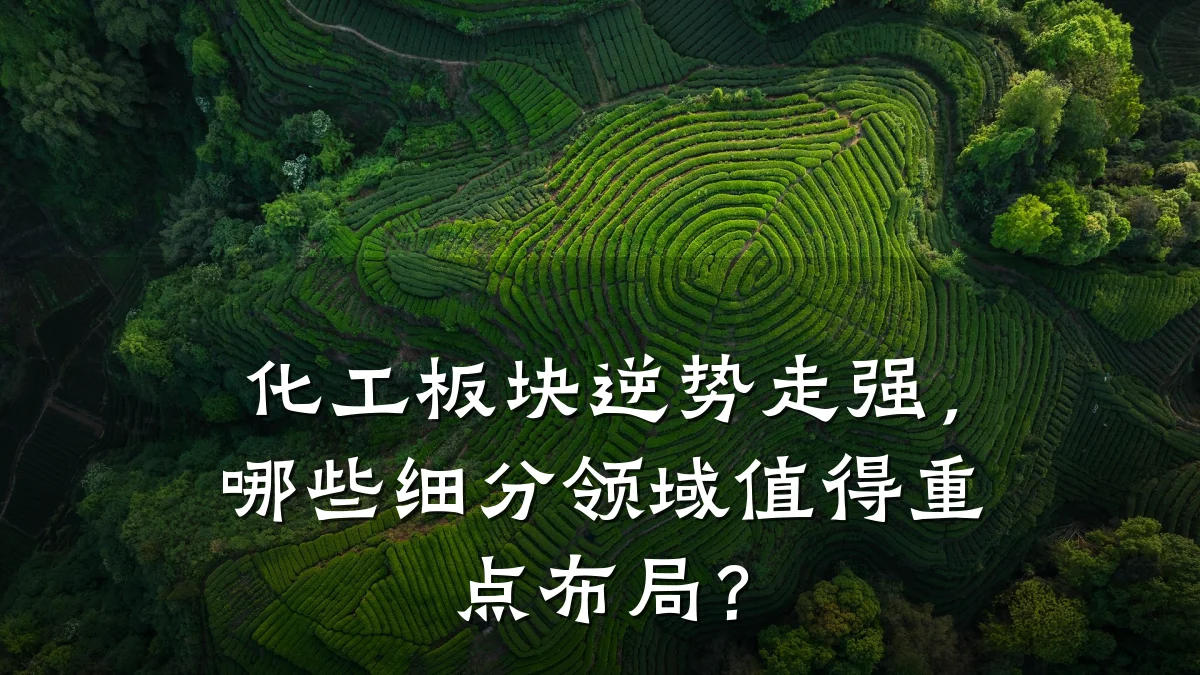 化工板块逆势走强，哪些细分领域值得重点布局？