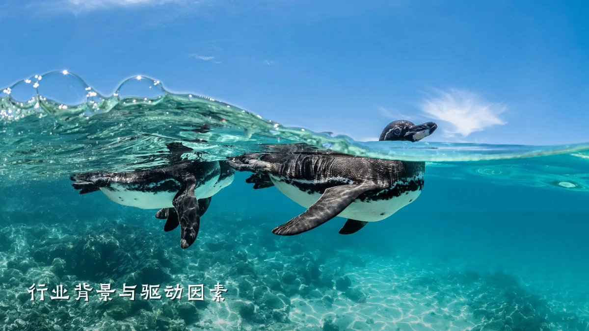 行业背景与驱动因素