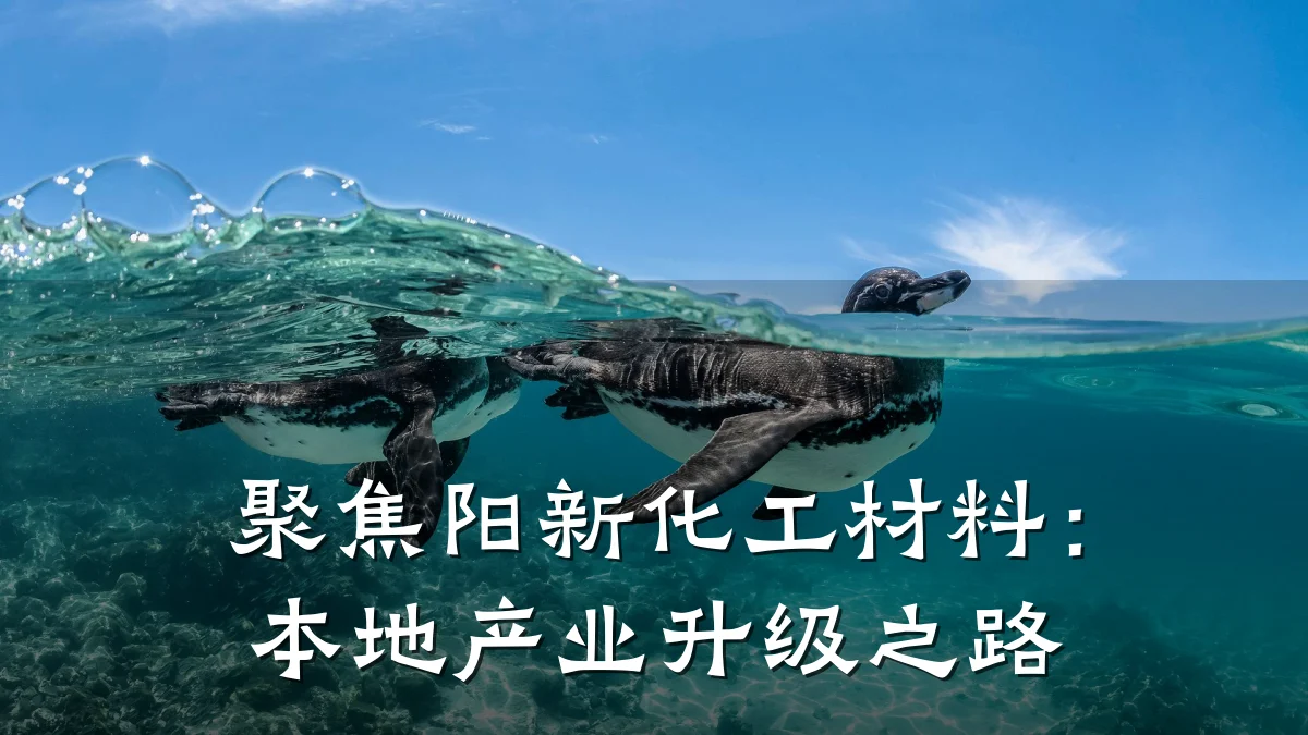 聚焦阳新化工材料:本地产业升级之路