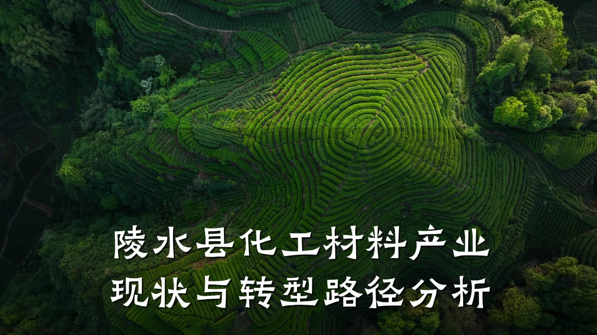 陵水县化工材料产业现状与转型路径分析