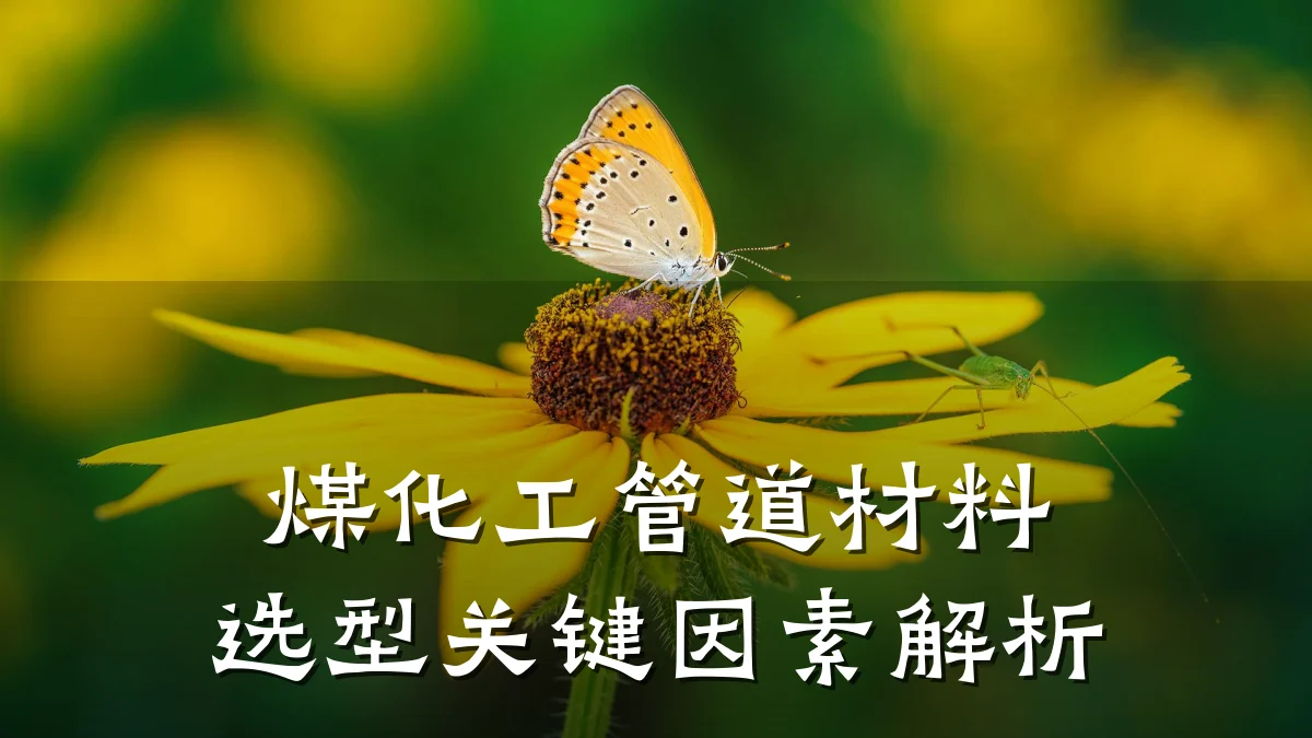 煤化工管道材料选型关键因素解析