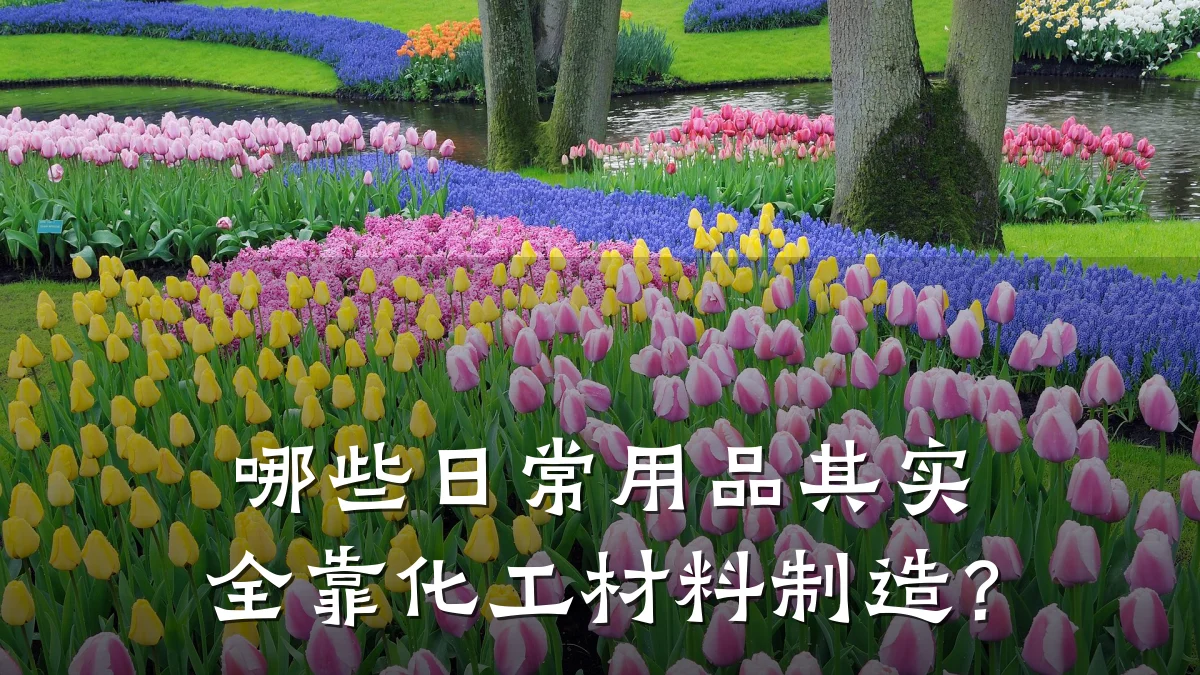 哪些日常用品其实全靠化工材料制造?