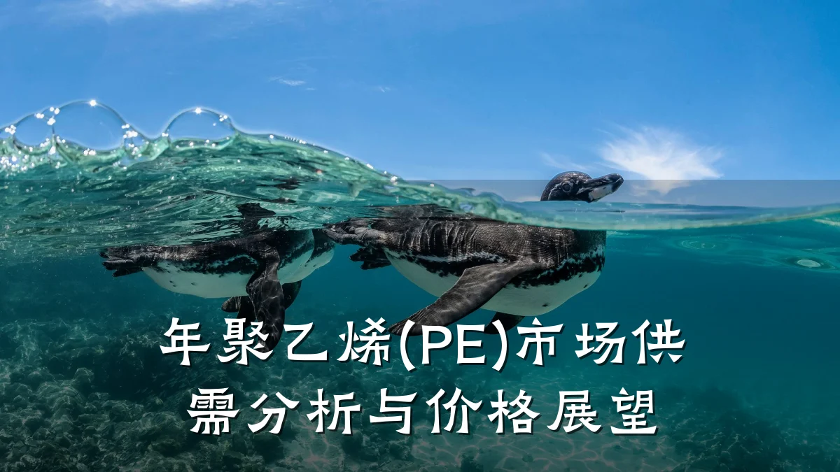 年聚乙烯(PE)市场供需分析与价格展望