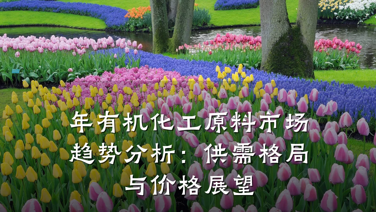 年有机化工原料市场趋势分析：供需格局与价格展望