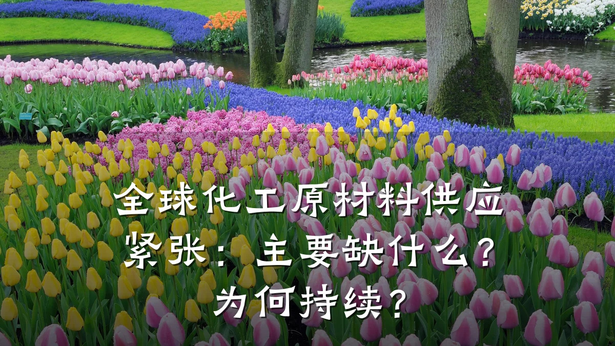 全球化工原材料供应紧张：主要缺什么？为何持续？