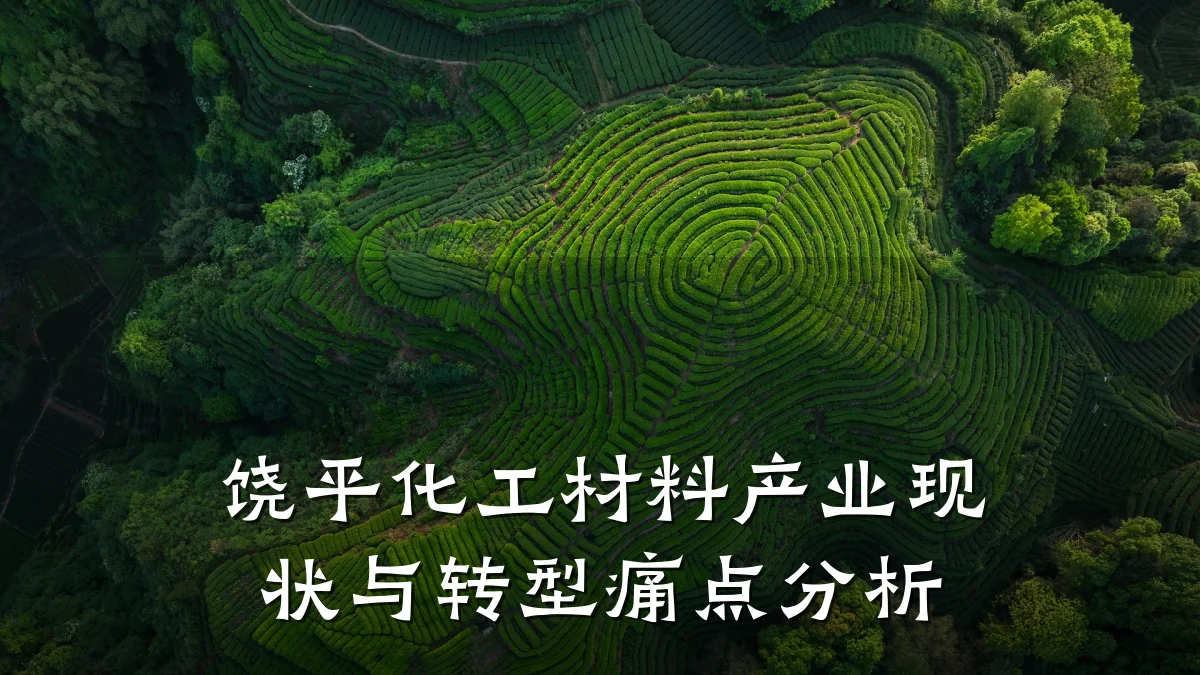 饶平化工材料产业现状与转型痛点分析