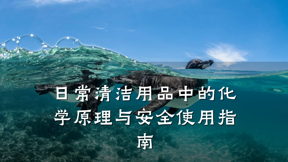 日常清洁用品中的化学原理与安全使用指南