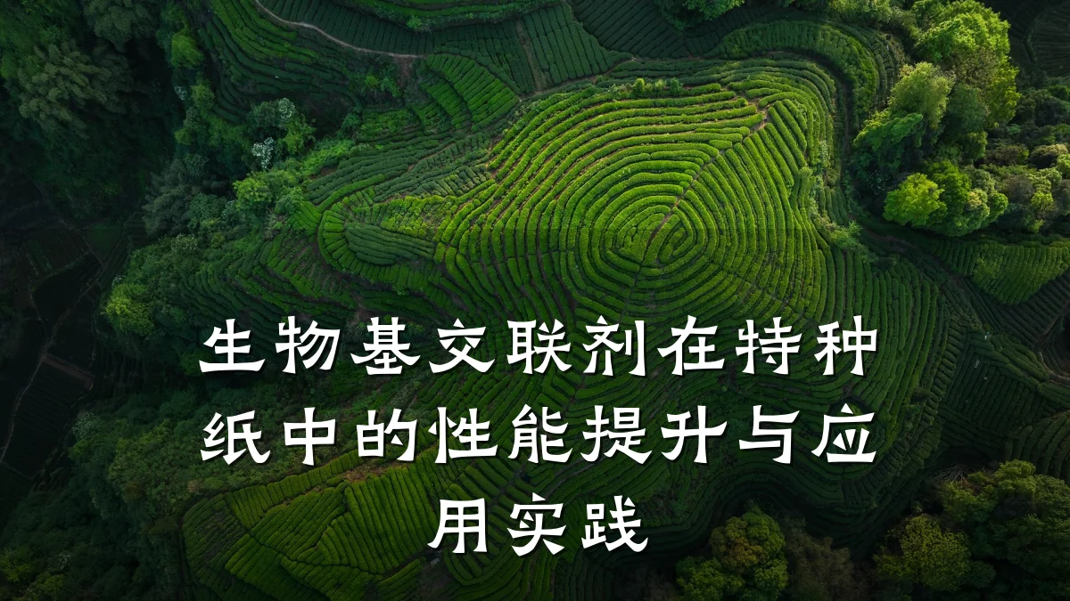 生物基交联剂在特种纸中的性能提升与应用实践