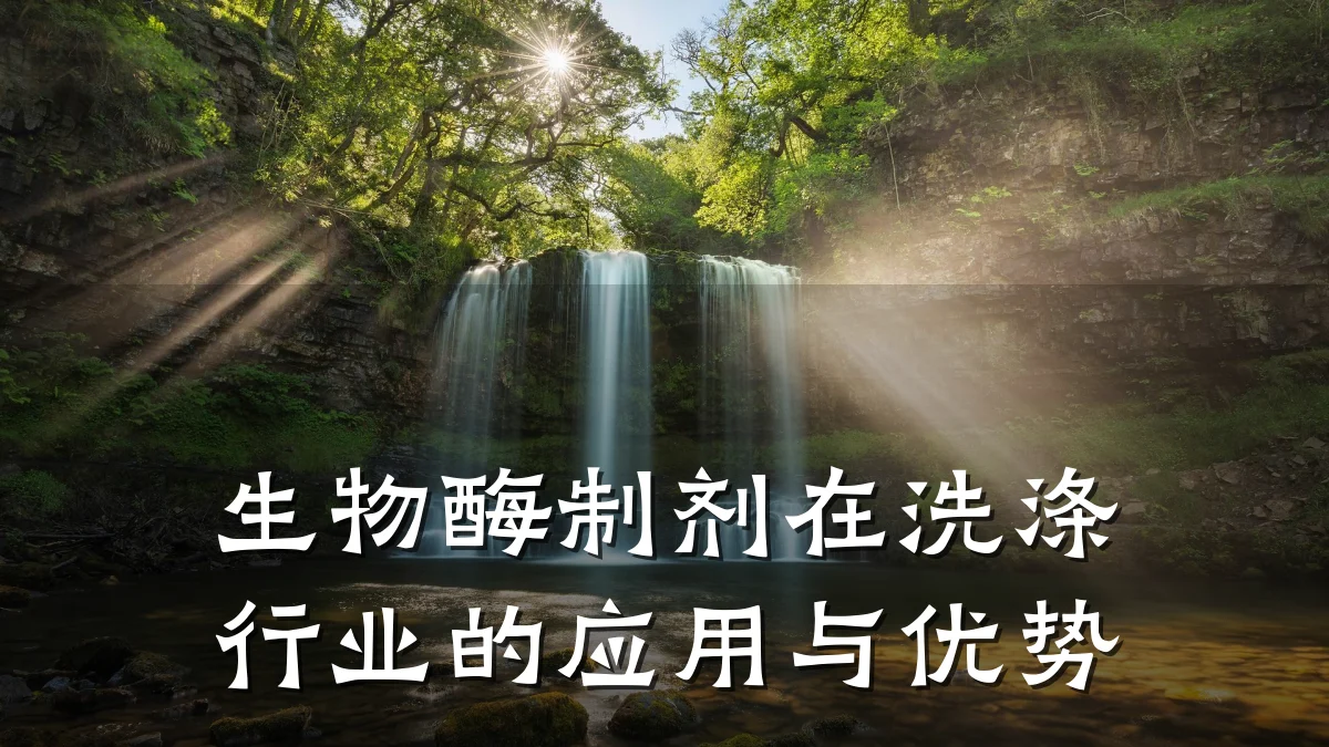 生物酶制剂在洗涤行业的应用与优势
