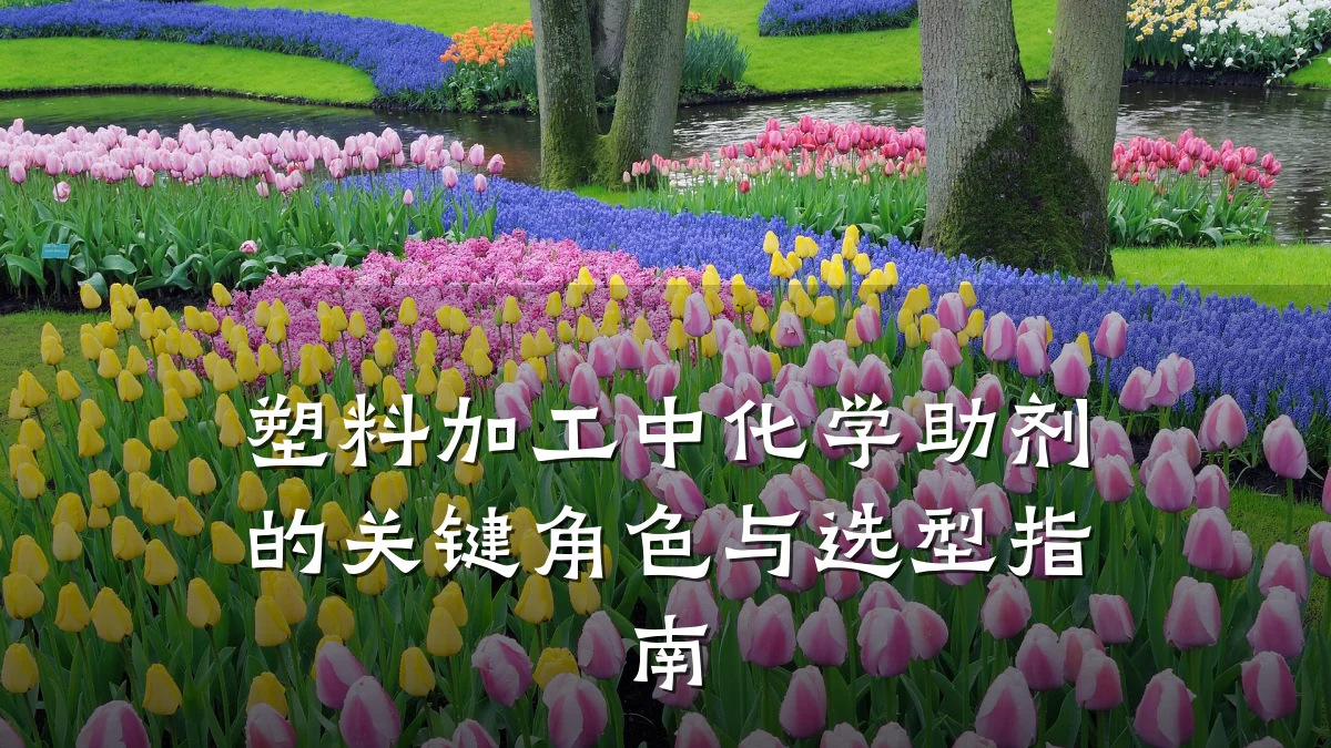 塑料加工中化学助剂的关键角色与选型指南