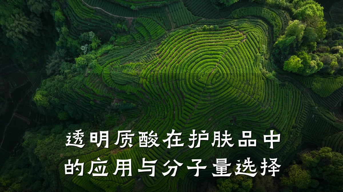 透明质酸在护肤品中的应用与分子量选择
