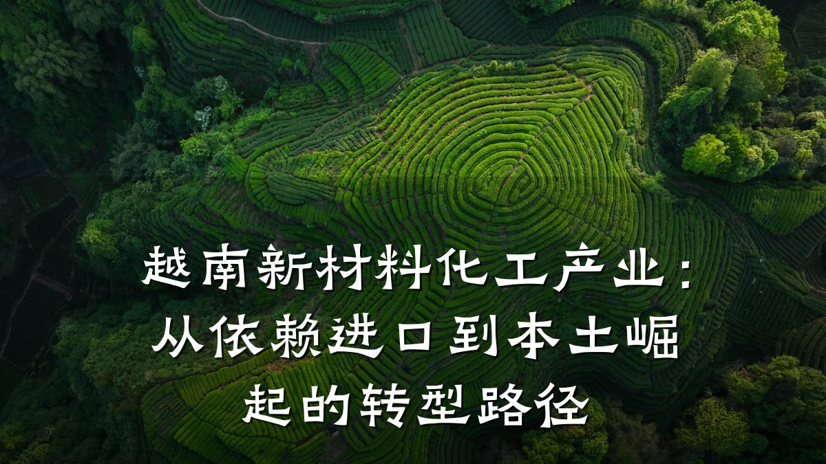 越南新材料化工产业:从依赖进口到本土崛起的转型路径