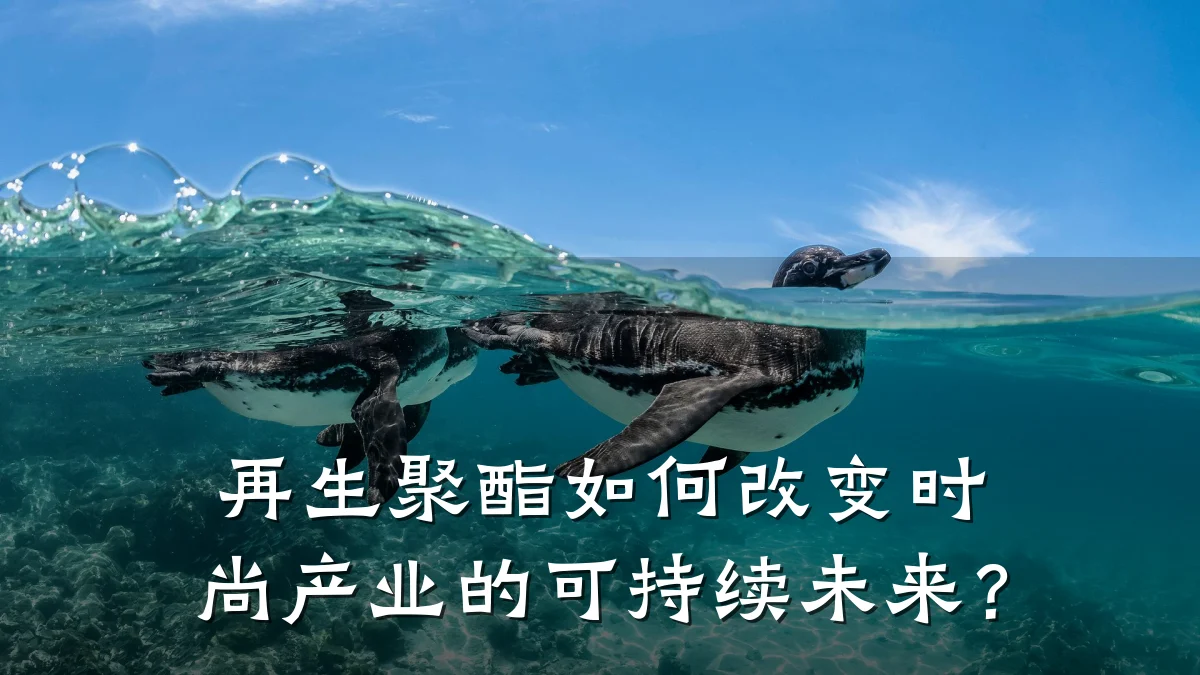 再生聚酯如何改变时尚产业的可持续未来？