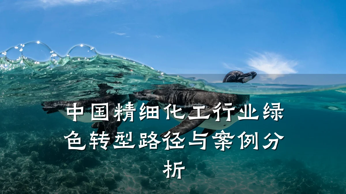 中国精细化工行业绿色转型路径与案例分析