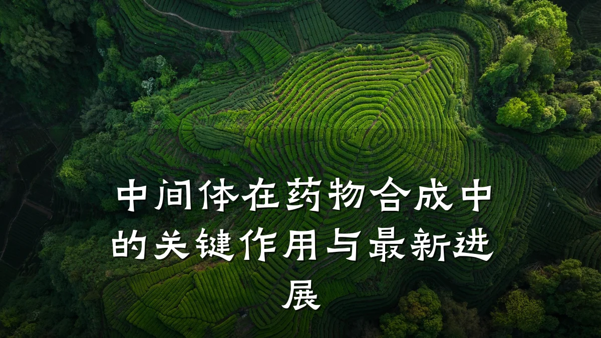 中间体在药物合成中的关键作用与最新进展