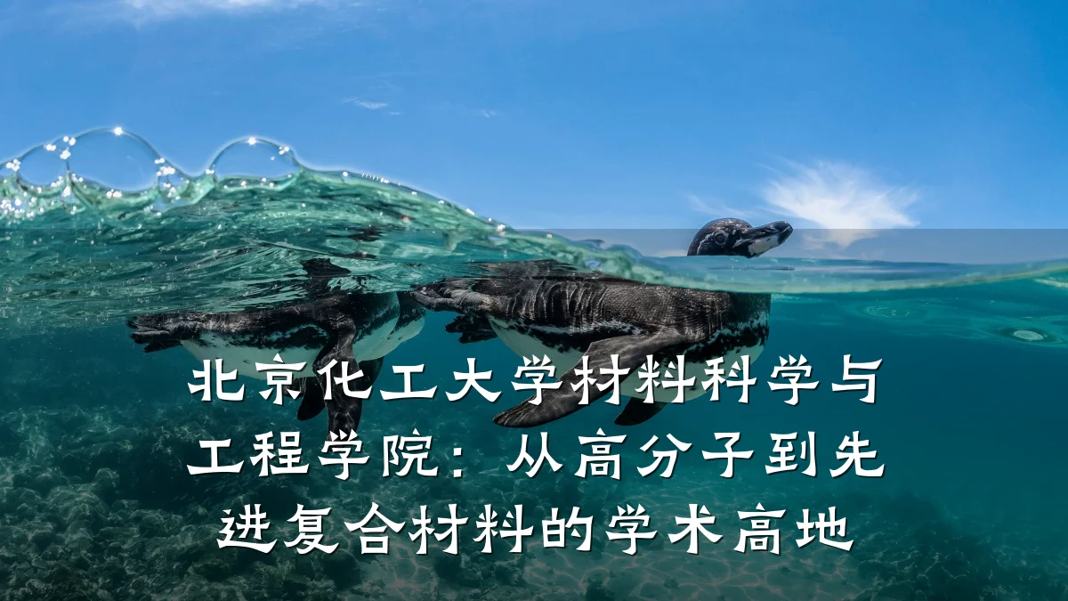 北京化工大学材料科学与工程学院：从高分子到先进复合材料的学术高地