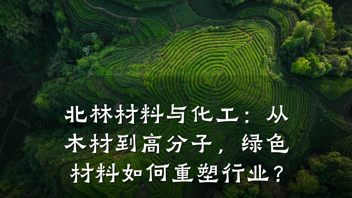 北林材料与化工:从木材到高分子,绿色材料如何重塑行业?